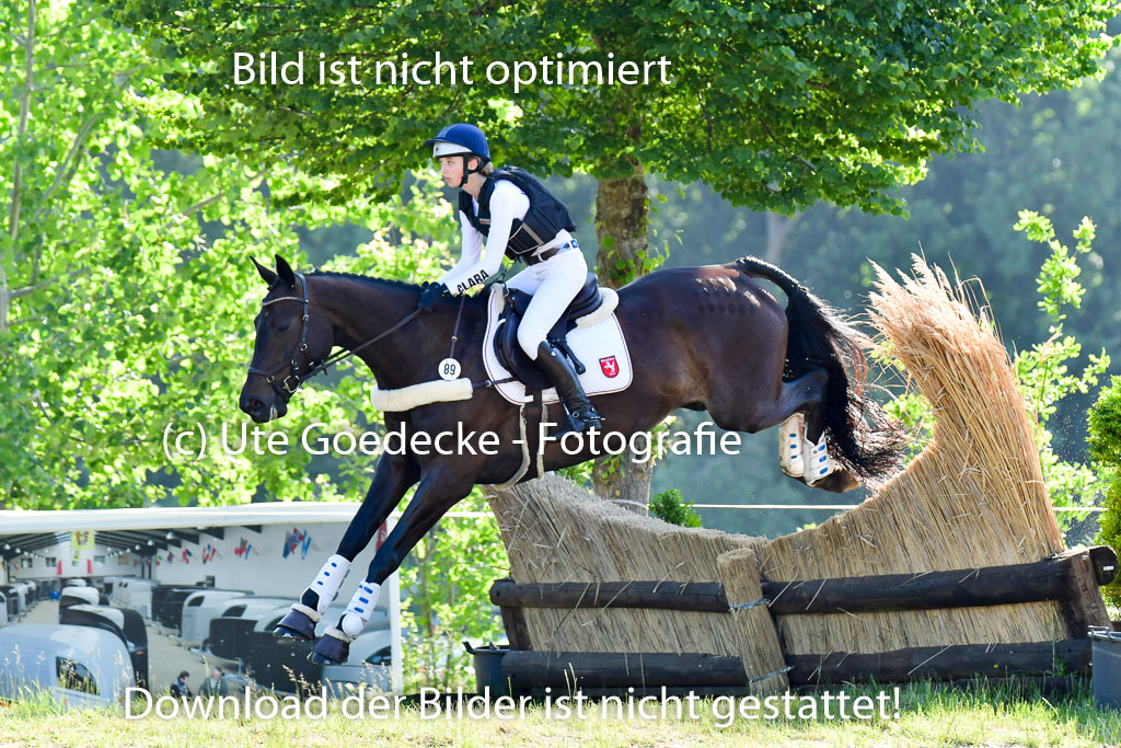 Goldene Schärpe PFerde  in Löningen  11+12.6.22 | 11062022 - Gelände 1 Abt_0078 