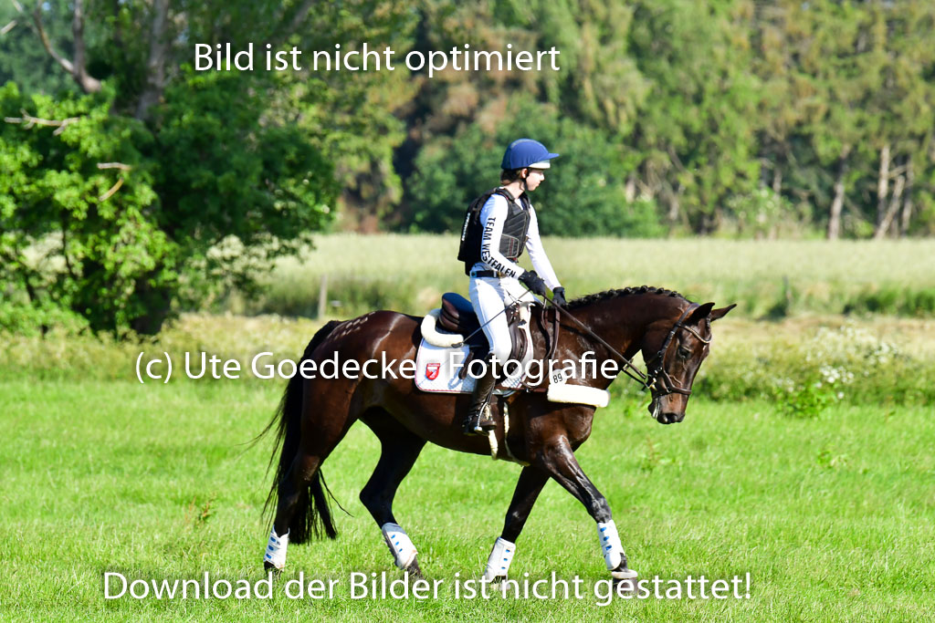 Goldene Schärpe PFerde  in Löningen  11+12.6.22 | 11062022 - Gelände 1 Abt_0079 