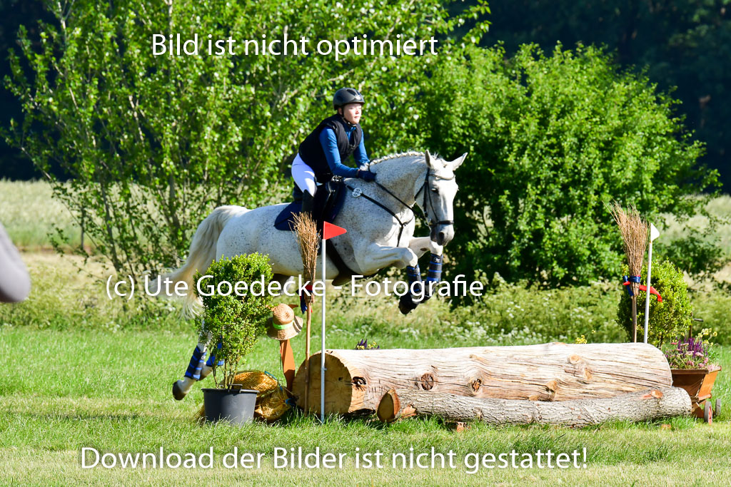 Goldene Schärpe PFerde  in Löningen  11+12.6.22 | 11062022 - Gelände 1 Abt_0080 