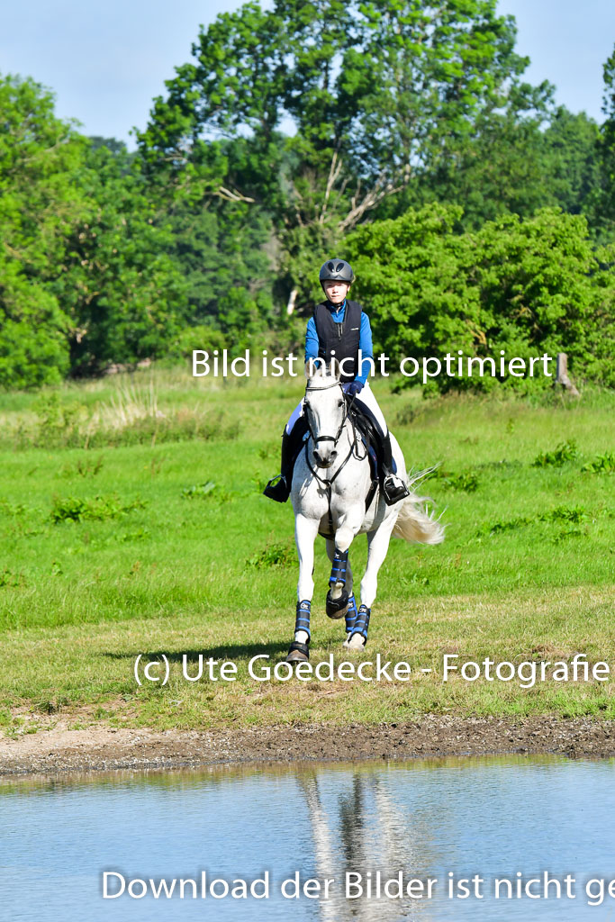 Goldene Schärpe PFerde  in Löningen  11+12.6.22 | 11062022 - Gelände 1 Abt_0082