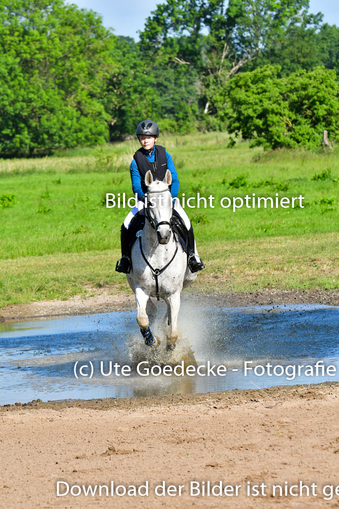 Goldene Schärpe PFerde  in Löningen  11+12.6.22 | 11062022 - Gelände 1 Abt_0086 