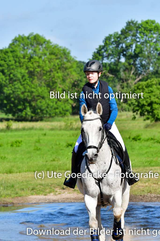Goldene Schärpe PFerde  in Löningen  11+12.6.22 | 11062022 - Gelände 1 Abt_0088 