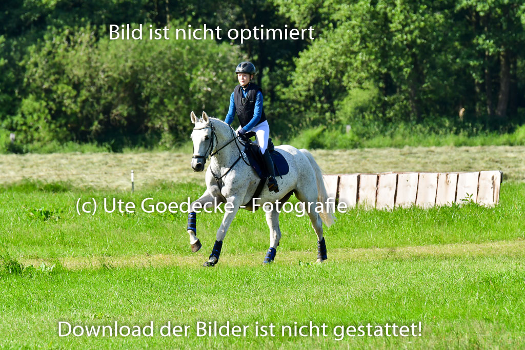 Goldene Schärpe PFerde  in Löningen  11+12.6.22 | 11062022 - Gelände 1 Abt_0091 