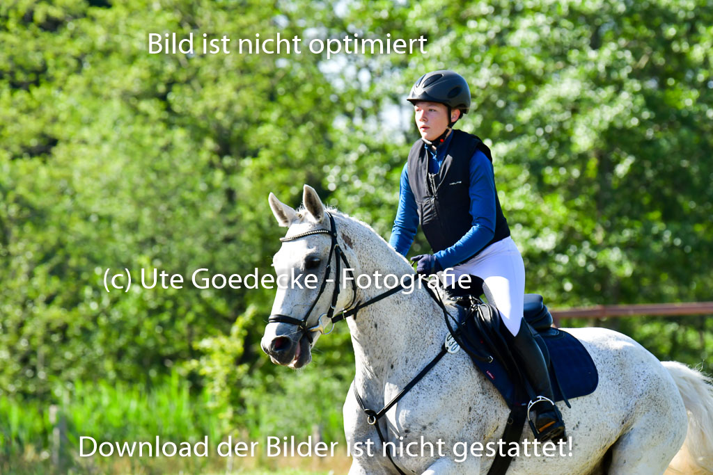 Goldene Schärpe PFerde  in Löningen  11+12.6.22 | 11062022 - Gelände 1 Abt_0095 