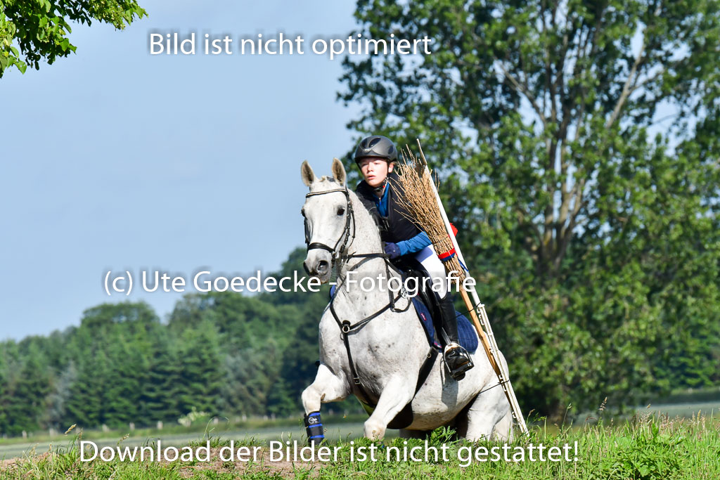 Goldene Schärpe PFerde  in Löningen  11+12.6.22 | 11062022 - Gelände 1 Abt_0097 