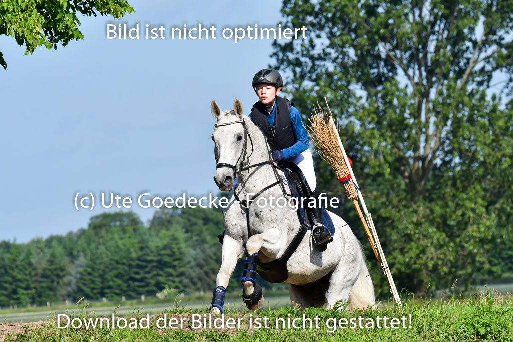 Goldene Schärpe PFerde  in Löningen  11+12.6.22 | 11062022 - Gelände 1 Abt_0098 