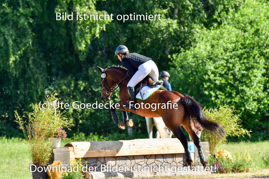 Goldene Schärpe PFerde  in Löningen  11+12.6.22 | 11062022 - Gelände 1 Abt_0107 