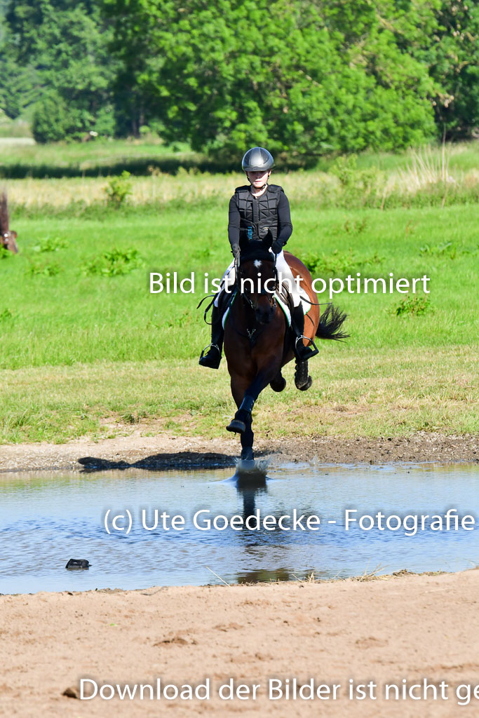 Goldene Schärpe PFerde  in Löningen  11+12.6.22 | 11062022 - Gelände 1 Abt_0108 