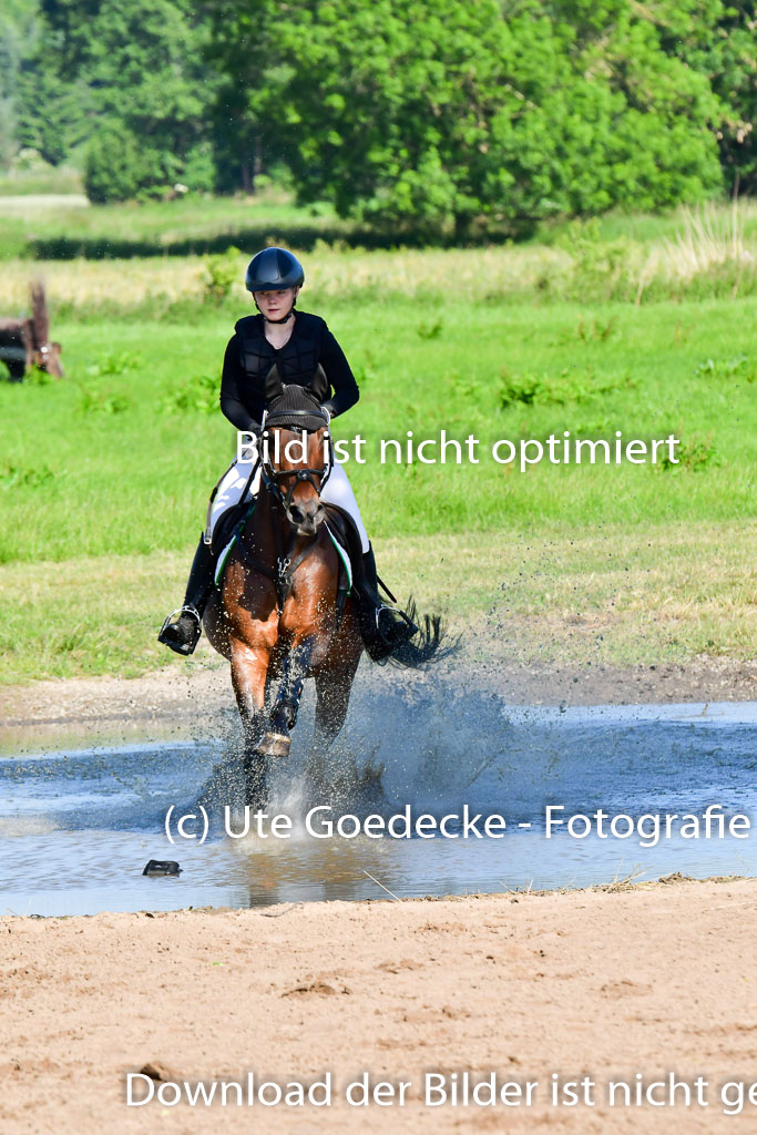 Goldene Schärpe PFerde  in Löningen  11+12.6.22 | 11062022 - Gelände 1 Abt_0109 