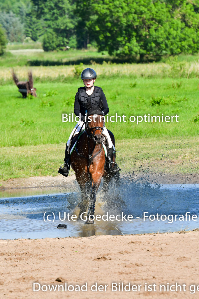 Goldene Schärpe PFerde  in Löningen  11+12.6.22 | 11062022 - Gelände 1 Abt_0110 