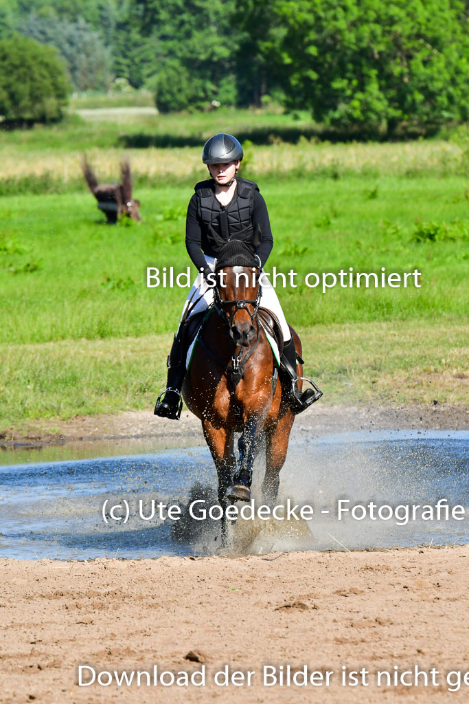 Goldene Schärpe PFerde  in Löningen  11+12.6.22 | 11062022 - Gelände 1 Abt_0111 