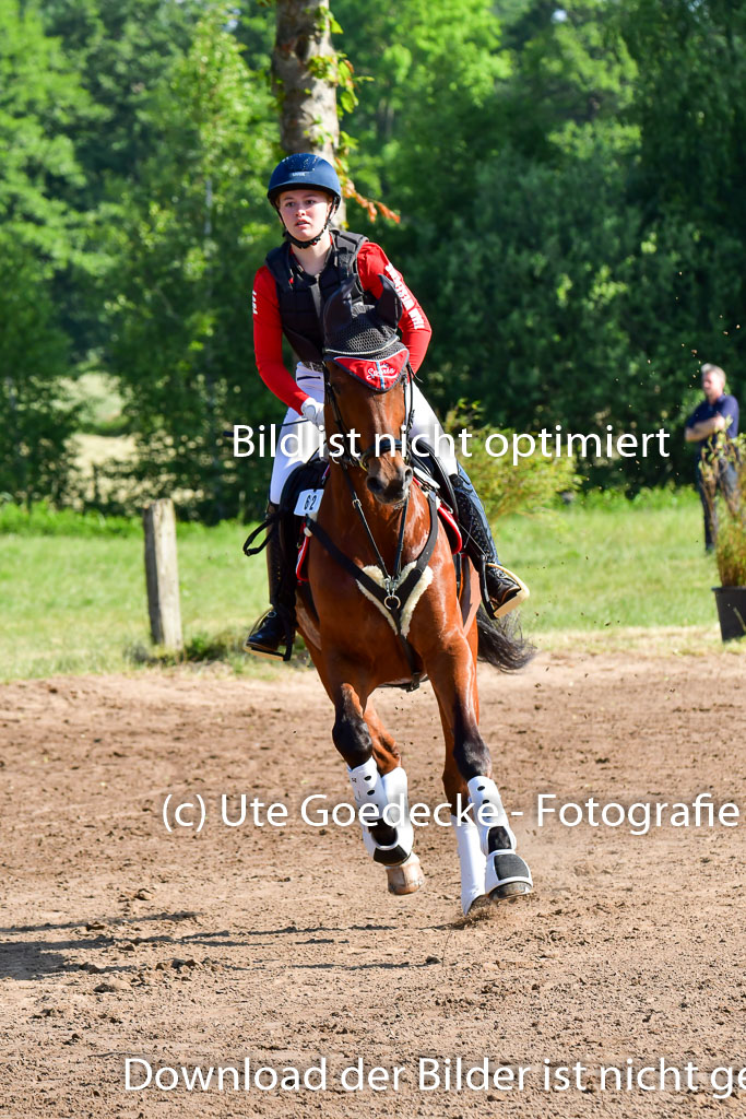 Goldene Schärpe PFerde  in Löningen  11+12.6.22 | 11062022 - Gelände 1 Abt_0128 