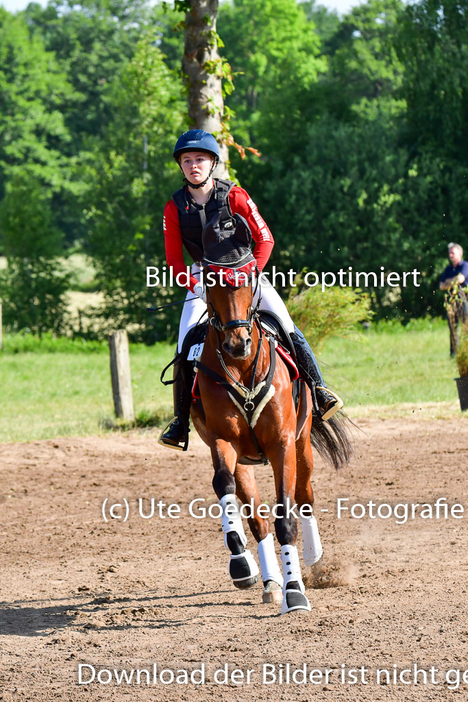 Goldene Schärpe PFerde  in Löningen  11+12.6.22 | 11062022 - Gelände 1 Abt_0129 