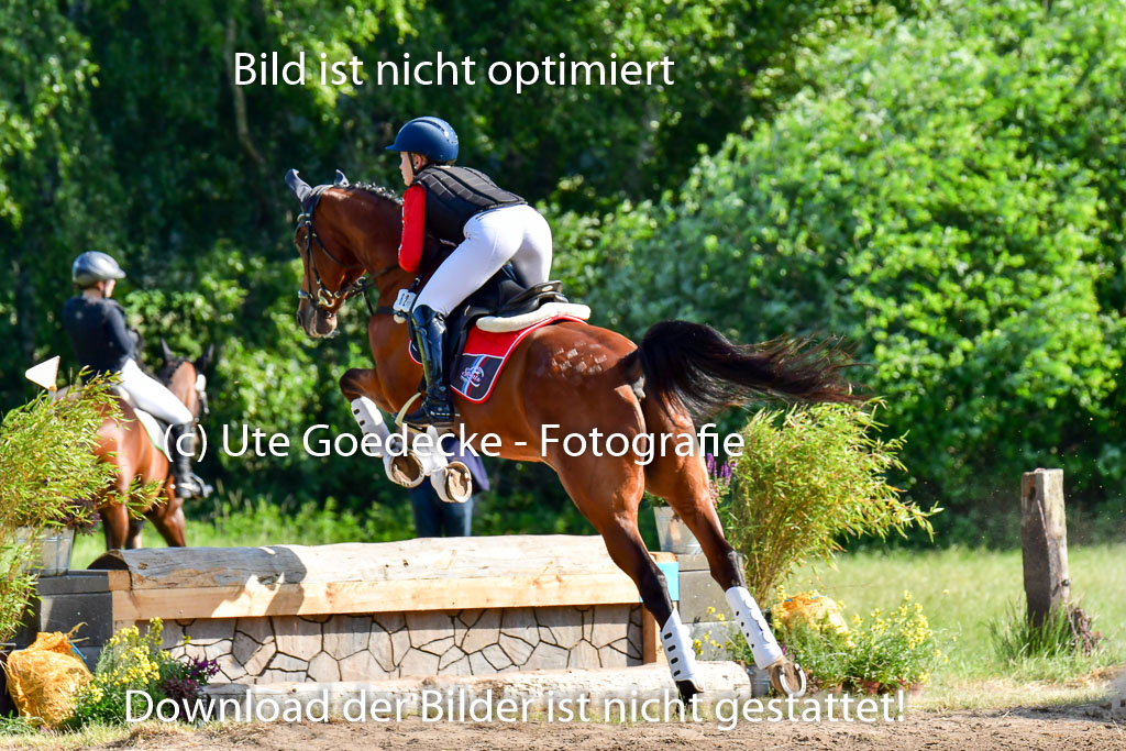 Goldene Schärpe PFerde  in Löningen  11+12.6.22 | 11062022 - Gelände 1 Abt_0131 