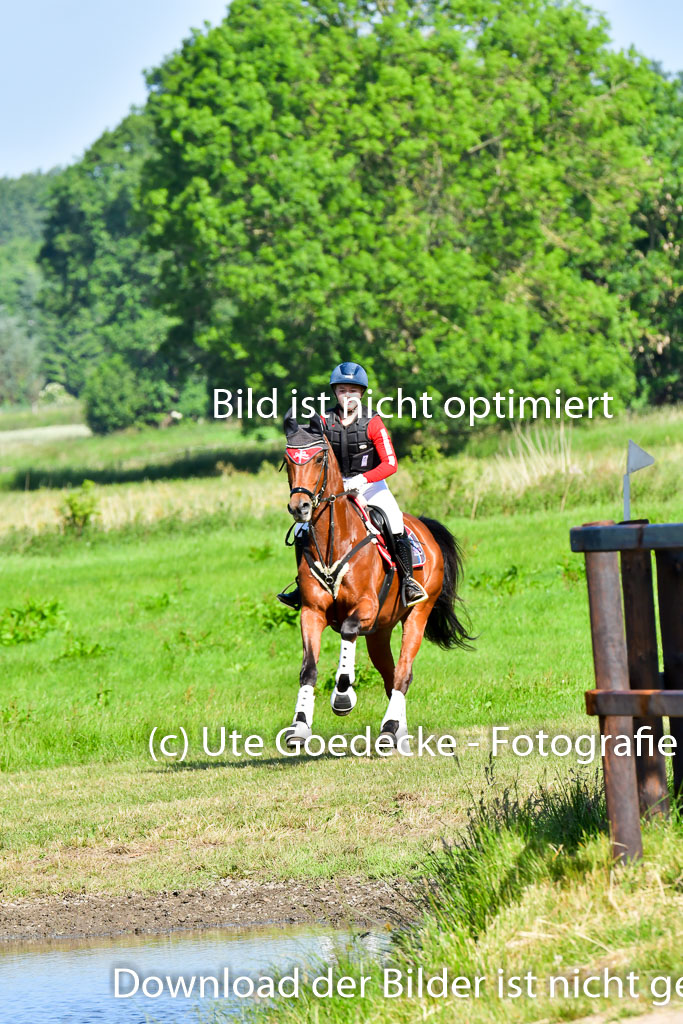 Goldene Schärpe PFerde  in Löningen  11+12.6.22 | 11062022 - Gelände 1 Abt_0133 