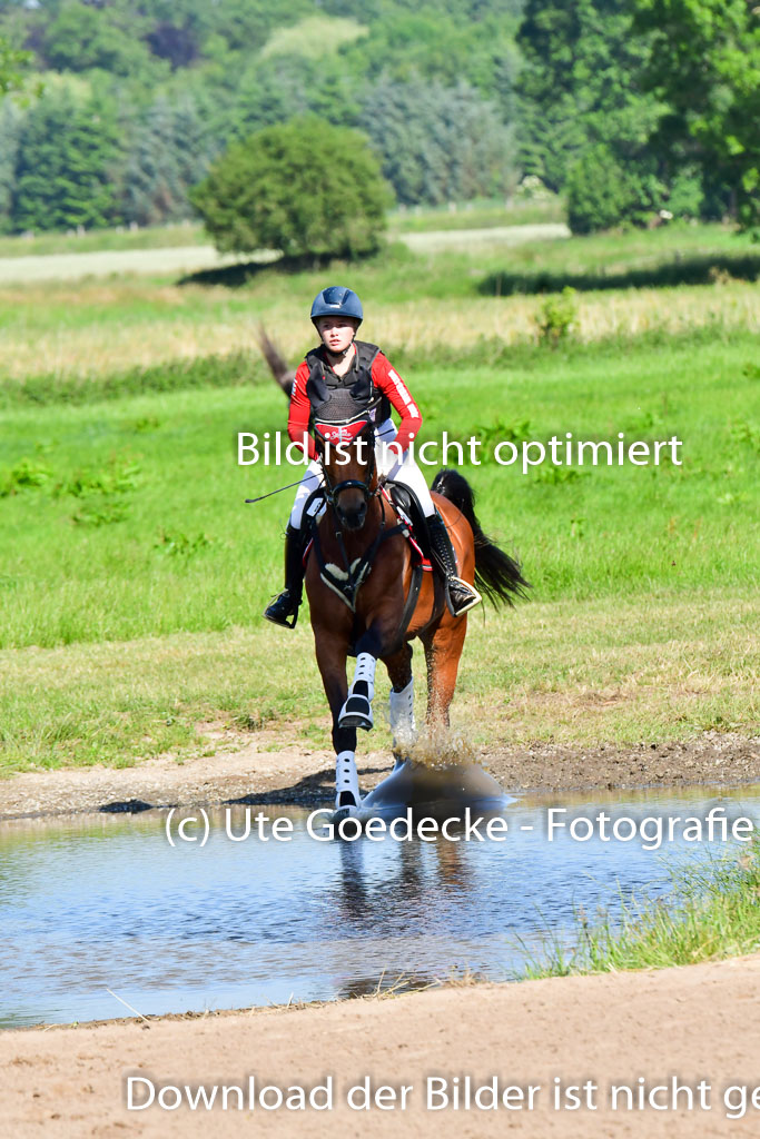 Goldene Schärpe PFerde  in Löningen  11+12.6.22 | 11062022 - Gelände 1 Abt_0134 