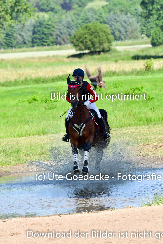 Goldene Schärpe PFerde  in Löningen  11+12.6.22 | 11062022 - Gelände 1 Abt_0135 