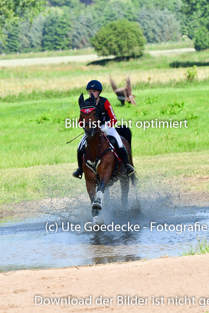 Goldene Schärpe PFerde  in Löningen  11+12.6.22 | 11062022 - Gelände 1 Abt_0136 