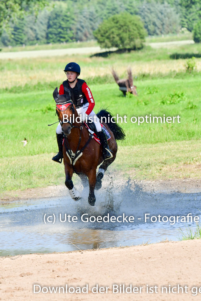 Goldene Schärpe PFerde  in Löningen  11+12.6.22 | 11062022 - Gelände 1 Abt_0137 