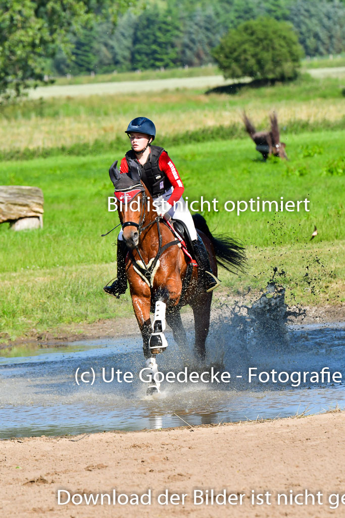 Goldene Schärpe PFerde  in Löningen  11+12.6.22 | 11062022 - Gelände 1 Abt_0138 