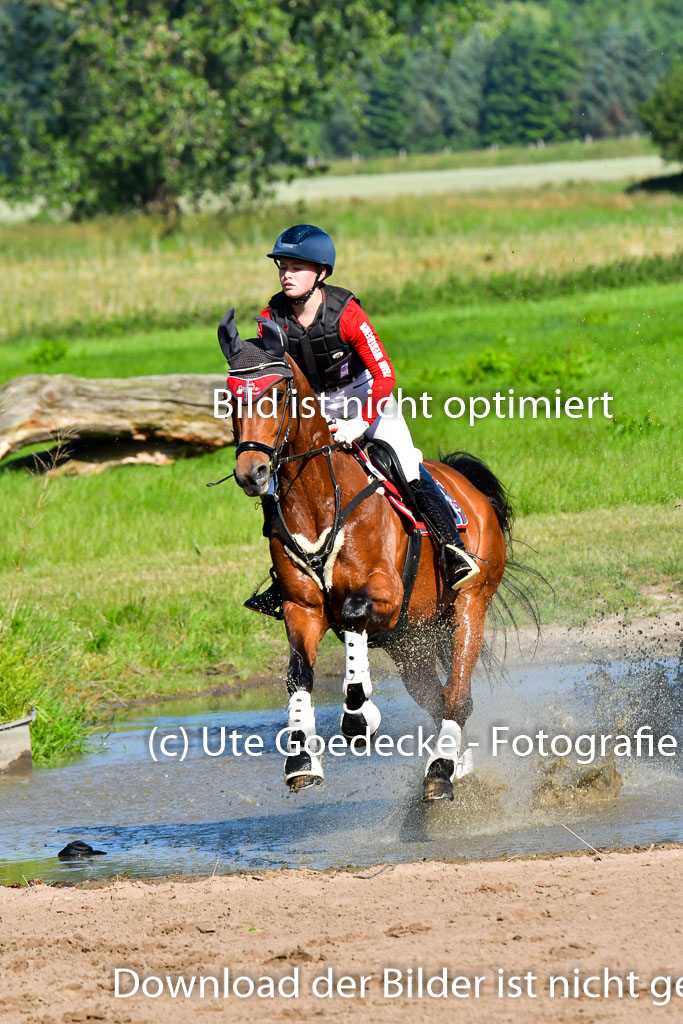 Goldene Schärpe PFerde  in Löningen  11+12.6.22 | 11062022 - Gelände 1 Abt_0140 