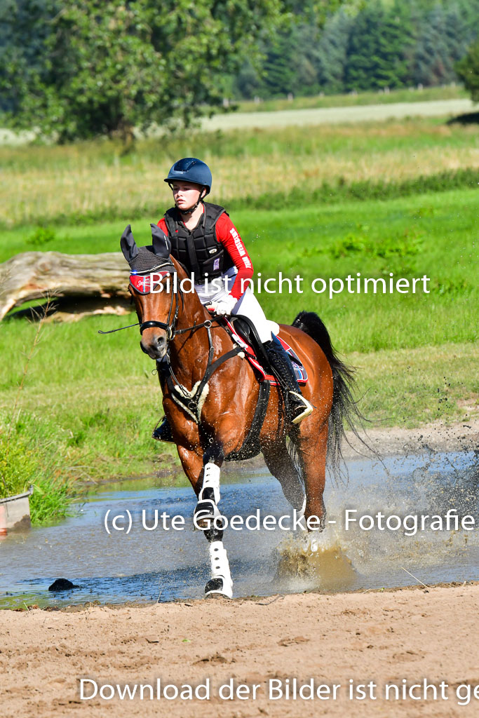 Goldene Schärpe PFerde  in Löningen  11+12.6.22 | 11062022 - Gelände 1 Abt_0141 