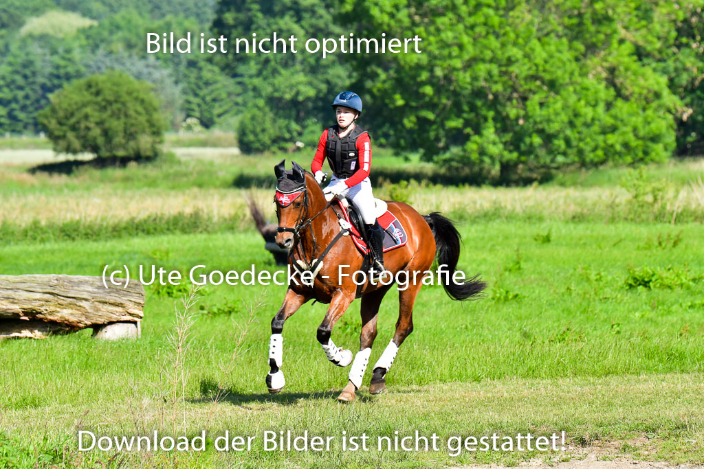 Goldene Schärpe PFerde in Löningen 11+12.6.22 | 11062022 - Gelände 1 Abt_0146