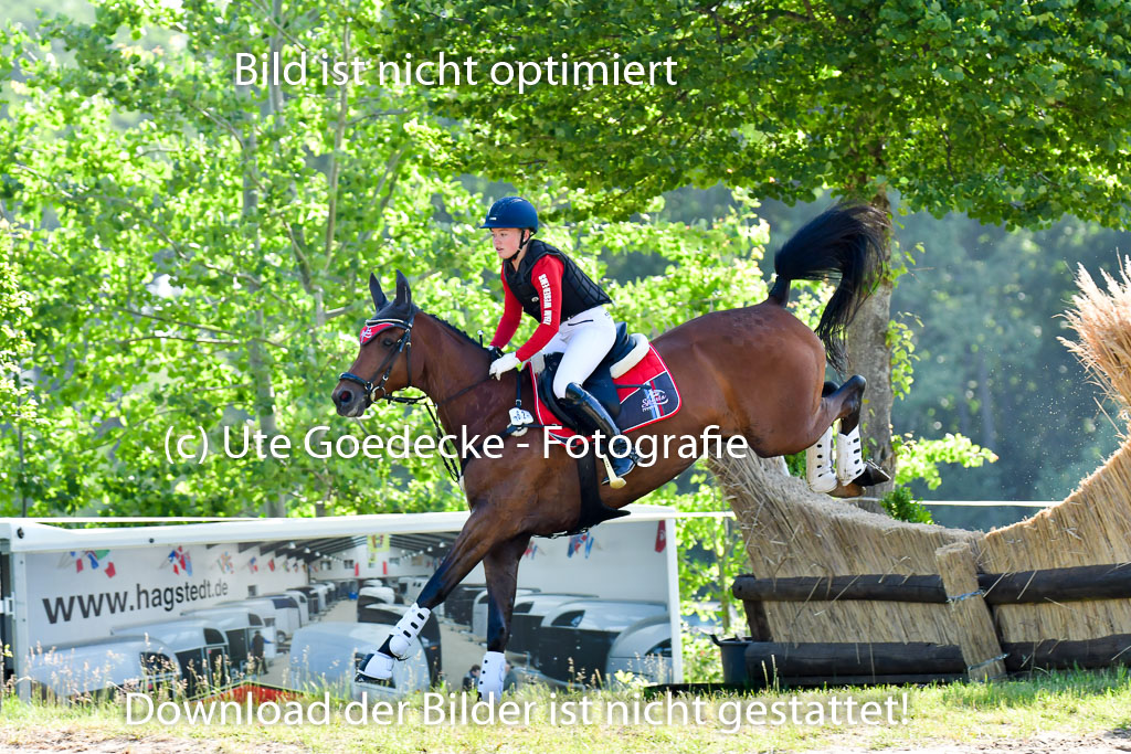 Goldene Schärpe PFerde in Löningen 11+12.6.22 | 11062022 - Gelände 1 Abt_0152