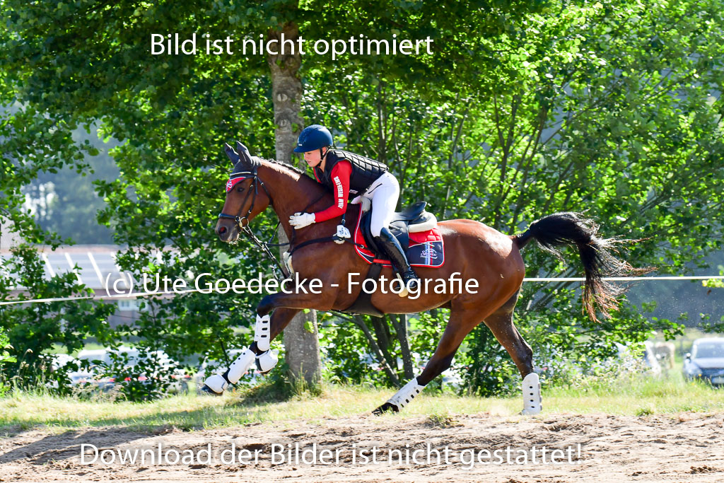 Goldene Schärpe PFerde in Löningen 11+12.6.22 | 11062022 - Gelände 1 Abt_0153
