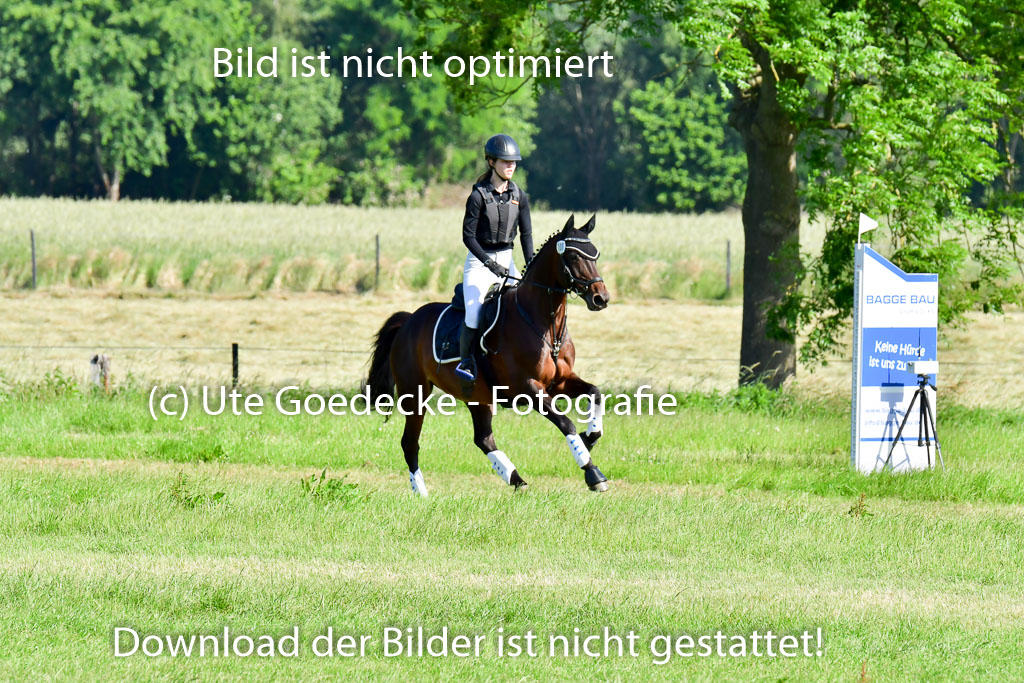 Goldene Schärpe PFerde  in Löningen  11+12.6.22 | 11062022 - Gelände 1 Abt_0154 