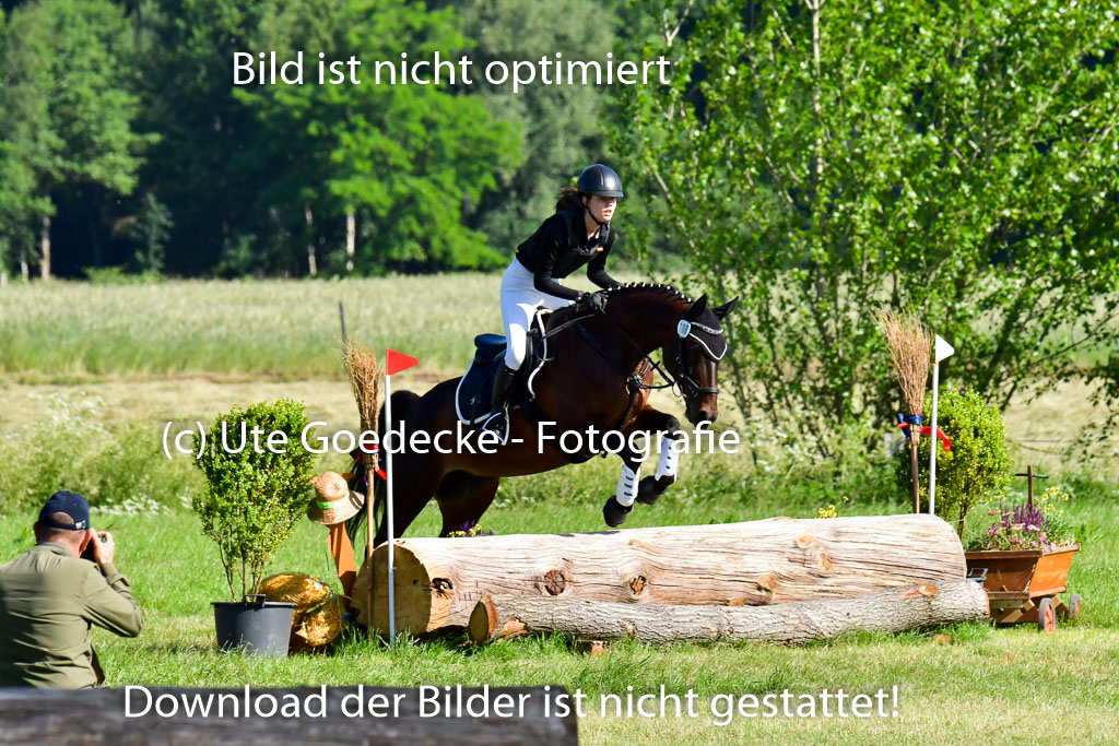 Goldene Schärpe PFerde  in Löningen  11+12.6.22 | 11062022 - Gelände 1 Abt_0155 