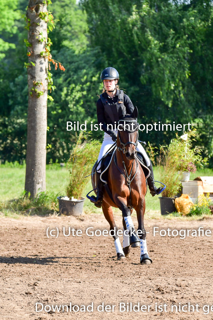 Goldene Schärpe PFerde  in Löningen  11+12.6.22 | 11062022 - Gelände 1 Abt_0156 