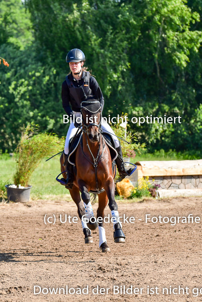 Goldene Schärpe PFerde  in Löningen  11+12.6.22 | 11062022 - Gelände 1 Abt_0157 