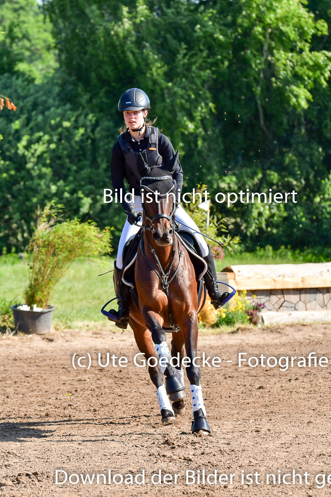 Goldene Schärpe PFerde  in Löningen  11+12.6.22 | 11062022 - Gelände 1 Abt_0158 