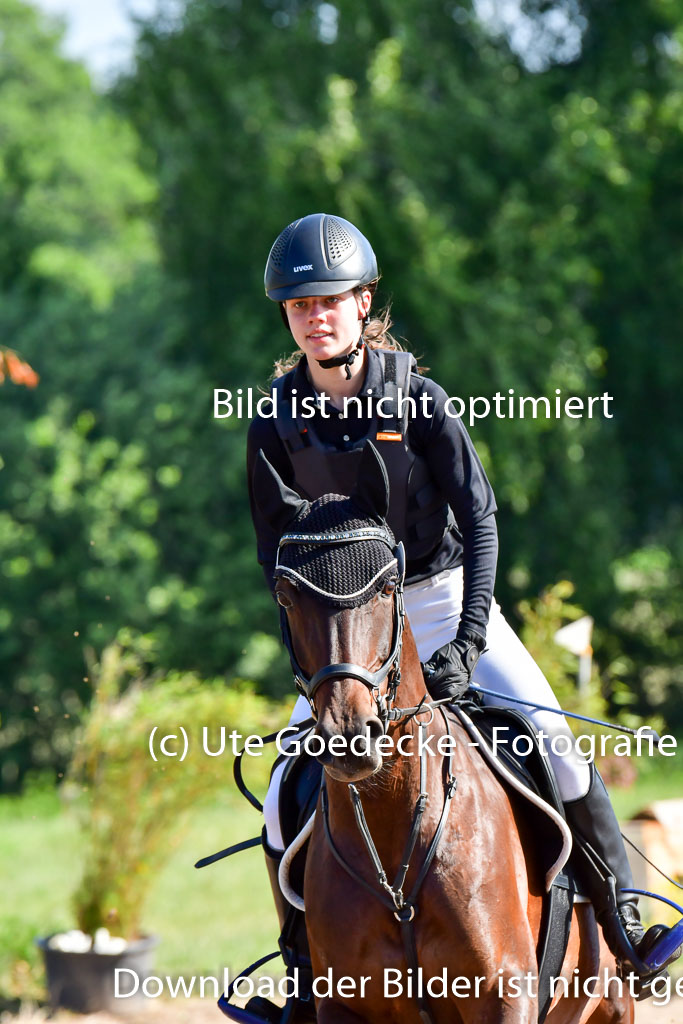 Goldene Schärpe PFerde  in Löningen  11+12.6.22 | 11062022 - Gelände 1 Abt_0159 