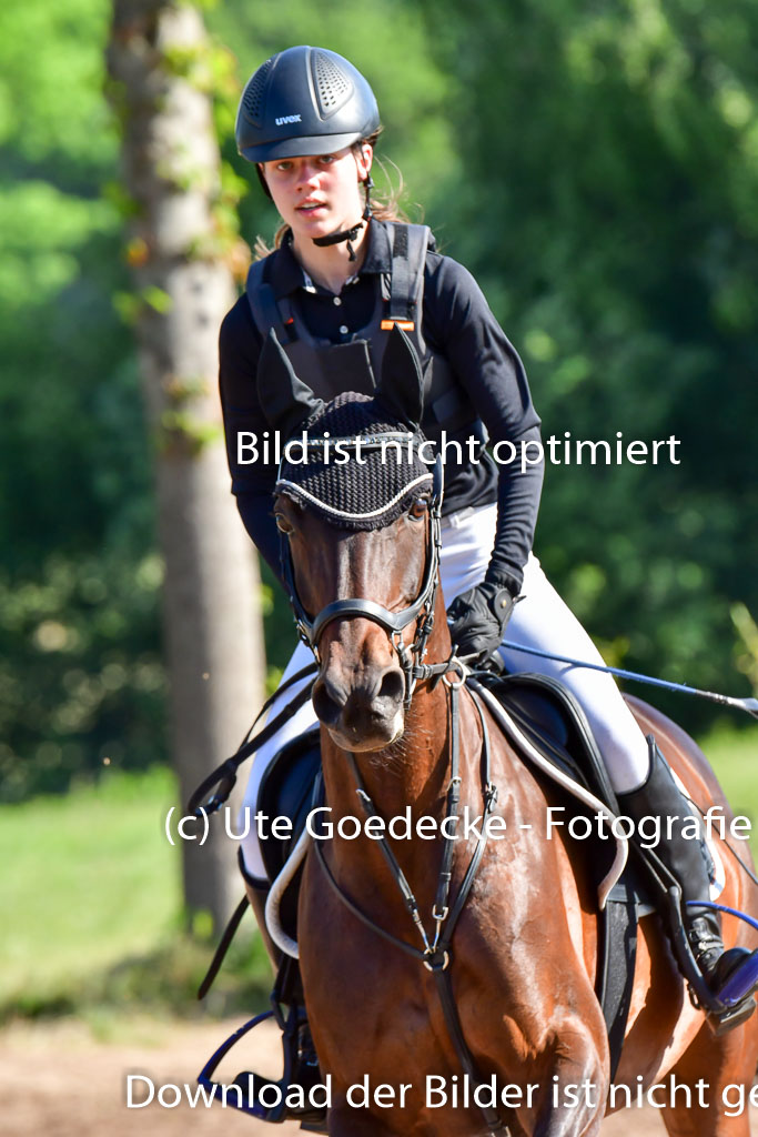 Goldene Schärpe PFerde  in Löningen  11+12.6.22 | 11062022 - Gelände 1 Abt_0160 