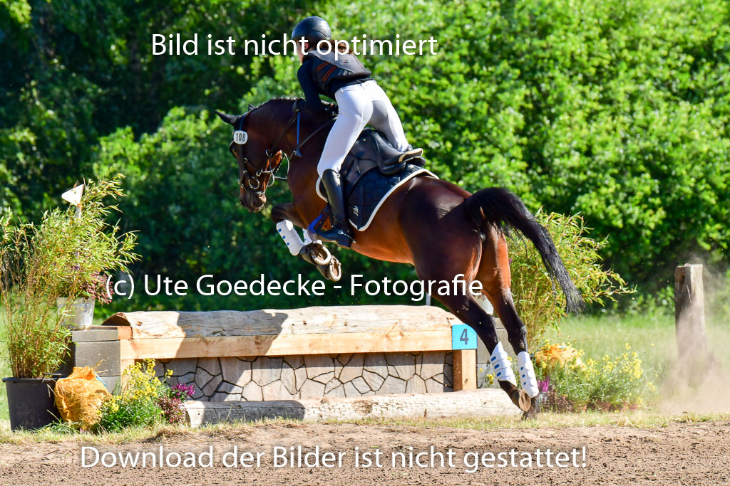 Goldene Schärpe PFerde  in Löningen  11+12.6.22 | 11062022 - Gelände 1 Abt_0161