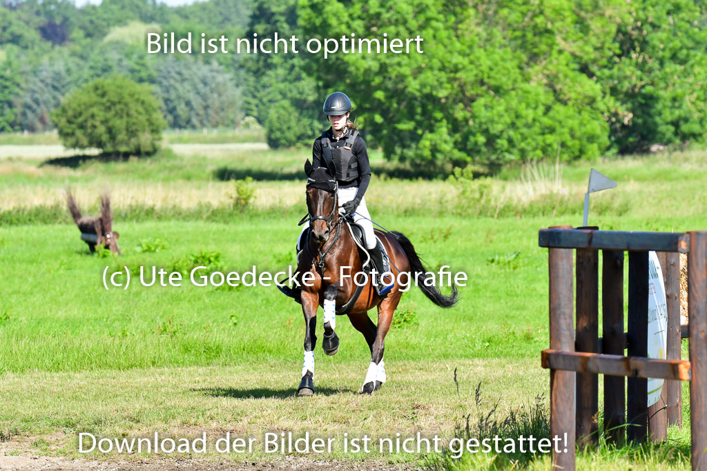 Goldene Schärpe PFerde  in Löningen  11+12.6.22 | 11062022 - Gelände 1 Abt_0162 