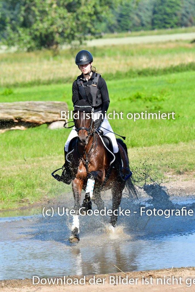 Goldene Schärpe PFerde  in Löningen  11+12.6.22 | 11062022 - Gelände 1 Abt_0164 