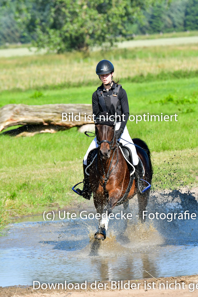 Goldene Schärpe PFerde  in Löningen  11+12.6.22 | 11062022 - Gelände 1 Abt_0165 