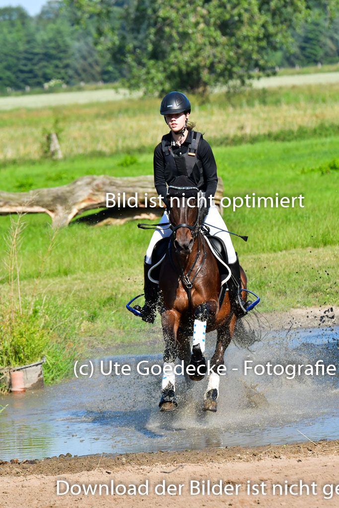Goldene Schärpe PFerde  in Löningen  11+12.6.22 | 11062022 - Gelände 1 Abt_0166 