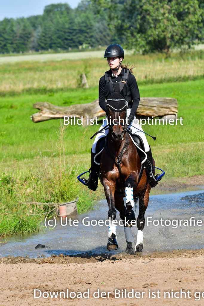 Goldene Schärpe PFerde  in Löningen  11+12.6.22 | 11062022 - Gelände 1 Abt_0167 