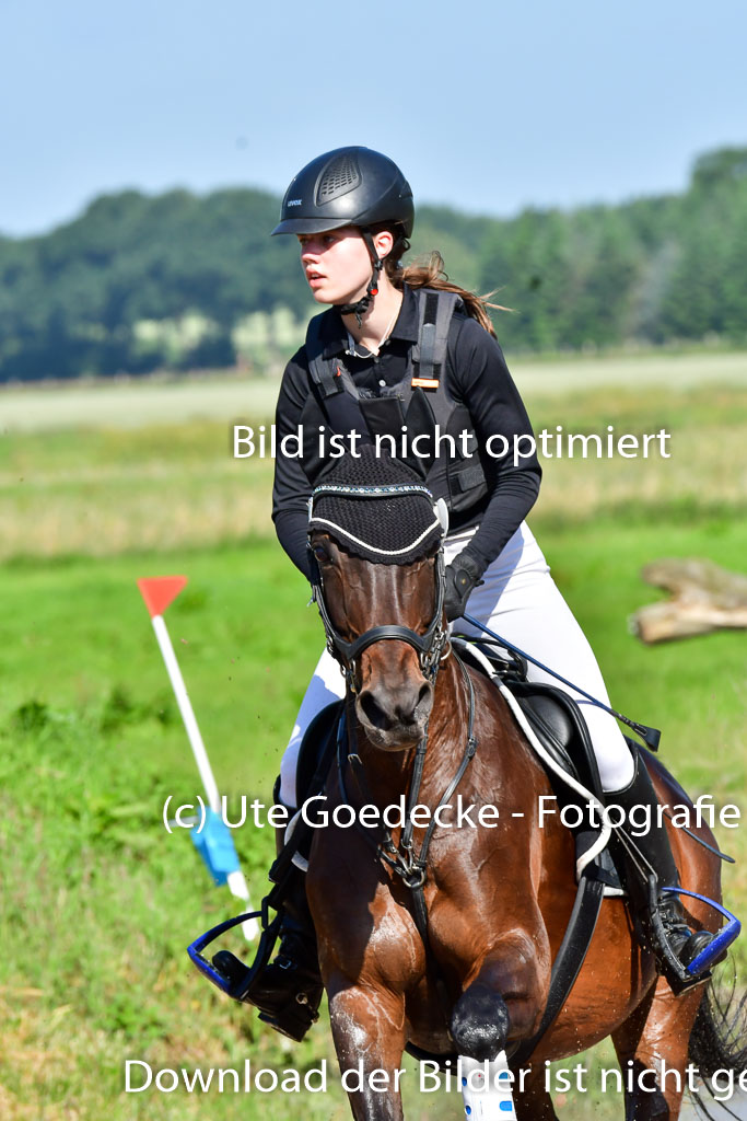 Goldene Schärpe PFerde  in Löningen  11+12.6.22 | 11062022 - Gelände 1 Abt_0168 