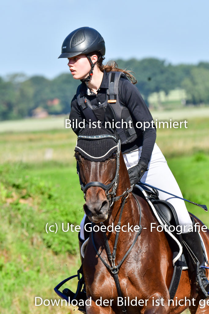 Goldene Schärpe PFerde  in Löningen  11+12.6.22 | 11062022 - Gelände 1 Abt_0169