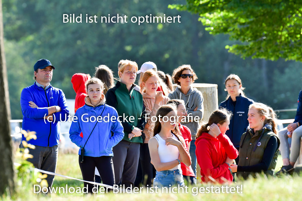 Goldene Schärpe PFerde  in Löningen  11+12.6.22 | 11062022 - Gelände 1 Abt_0170 