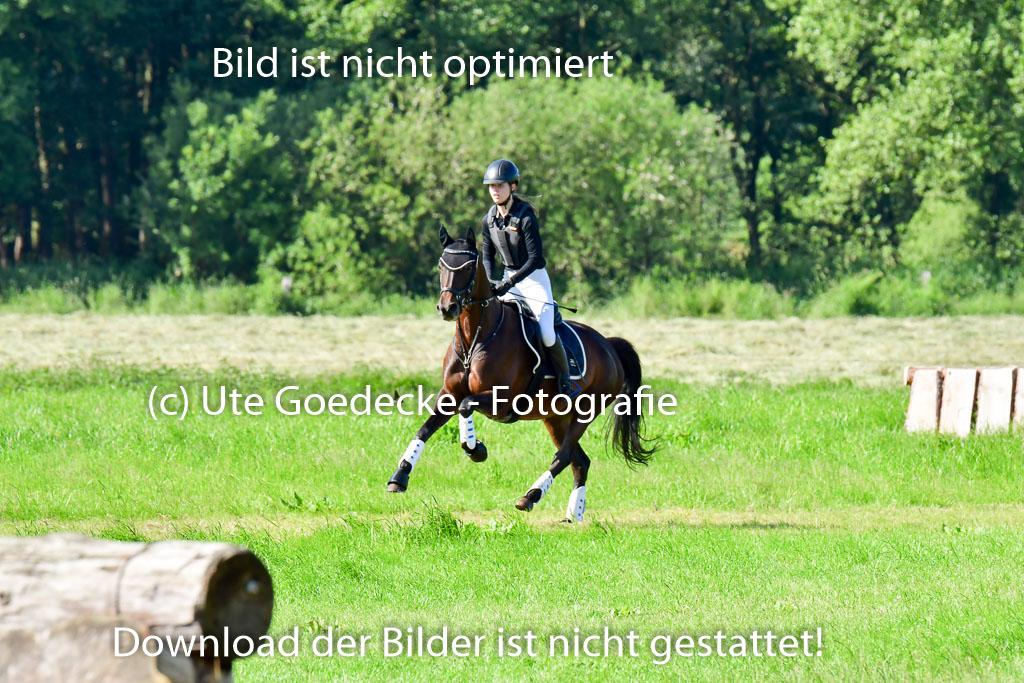 Goldene Schärpe PFerde  in Löningen  11+12.6.22 | 11062022 - Gelände 1 Abt_0171 