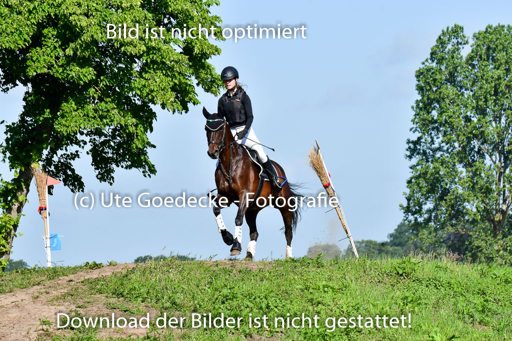 Goldene Schärpe PFerde  in Löningen  11+12.6.22 | 11062022 - Gelände 1 Abt_0175 