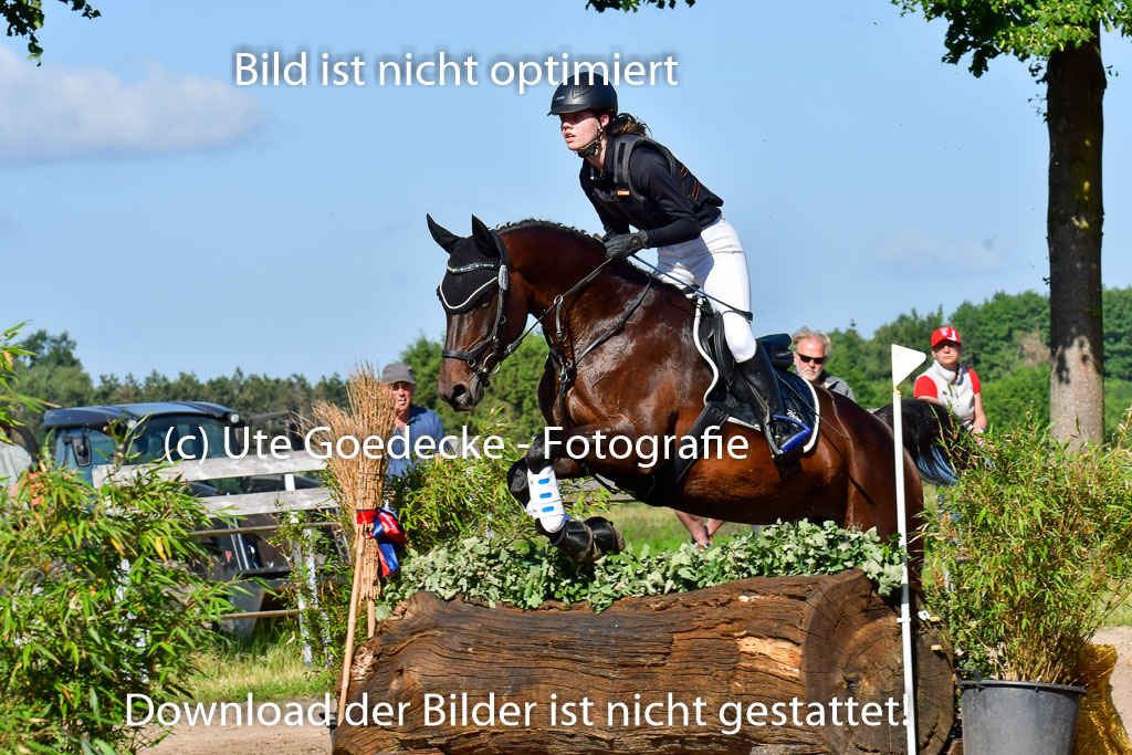 Goldene Schärpe PFerde  in Löningen  11+12.6.22 | 11062022 - Gelände 1 Abt_0176 