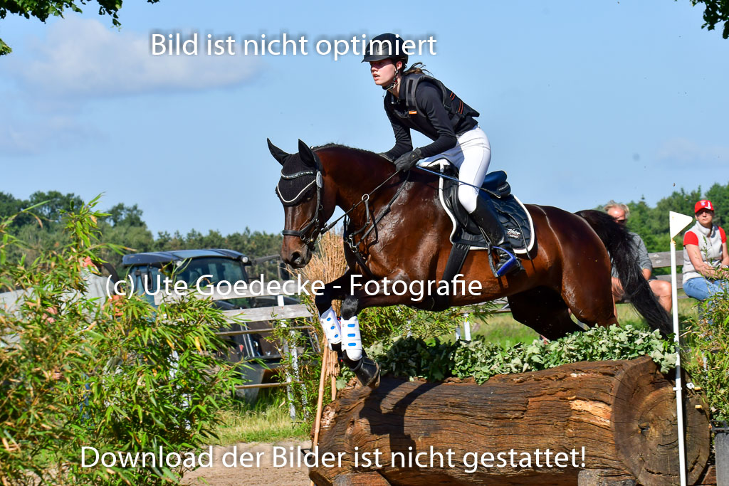 Goldene Schärpe PFerde  in Löningen  11+12.6.22 | 11062022 - Gelände 1 Abt_0177 