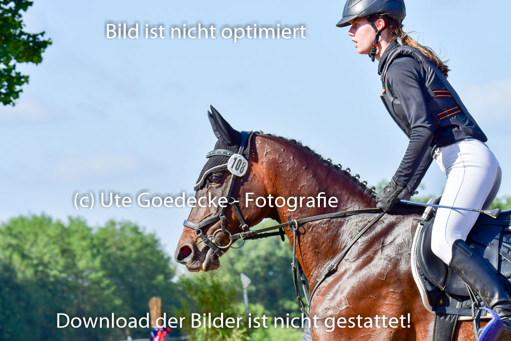 Goldene Schärpe PFerde  in Löningen  11+12.6.22 | 11062022 - Gelände 1 Abt_0178 
